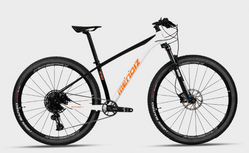 MENDIZ - Lote Bicicletas